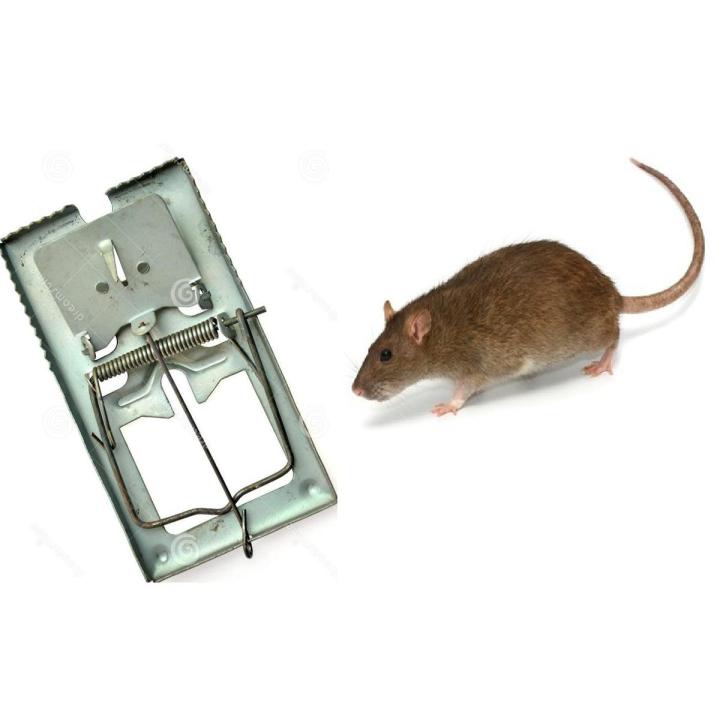 Rat Mouse Trap Catcher for Home Use