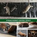 120x28cm ] Effective Rat Killer Glue Mat, Lizards, Snakes & Cockroach killer Glue Mats, Mouse And mice Trap Blanket, And Sticky Rodent Catcher Sheet - Pest Control Solutions. 