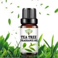 Tea Tree Fragrance Oil - Candle Making Scent - Home Diffuser Fragrance Oil - Cosmetic Making ,Lip Balm,Soap making Fragrance Oil. 