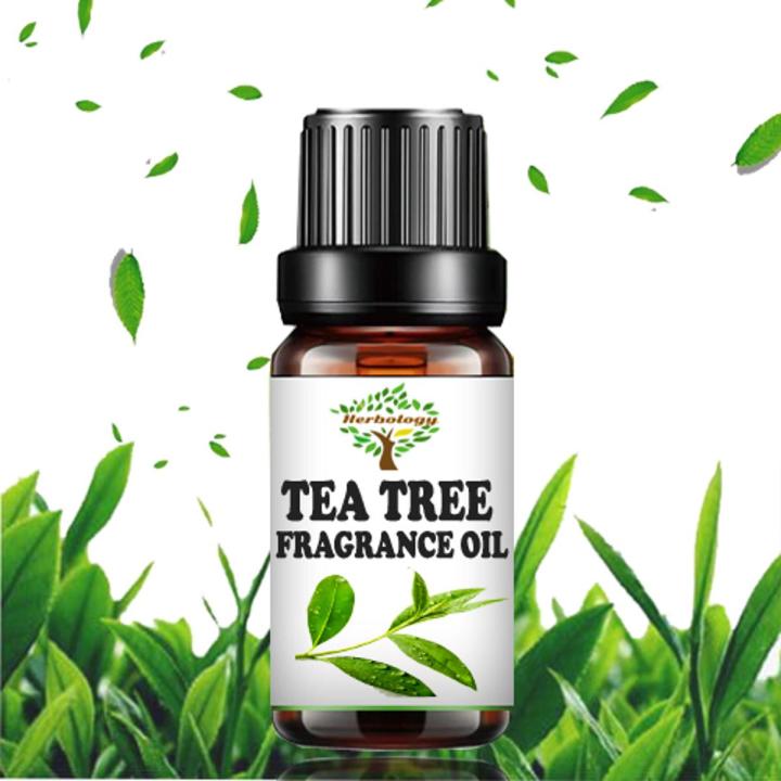 Tea Tree Fragrance Oil - Candle Making Scent - Home Diffuser Fragrance Oil - Cosmetic Making ,Lip Balm,Soap making Fragrance Oil