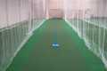 Professional Pre-Cut Mesh in Range of Size, 10 x 60 Cricket Batting Net, Baseball Batting Cage Netting for Pitching Training in The Backyard, Cricket Net for Golf, Baseball and Softball (White). 