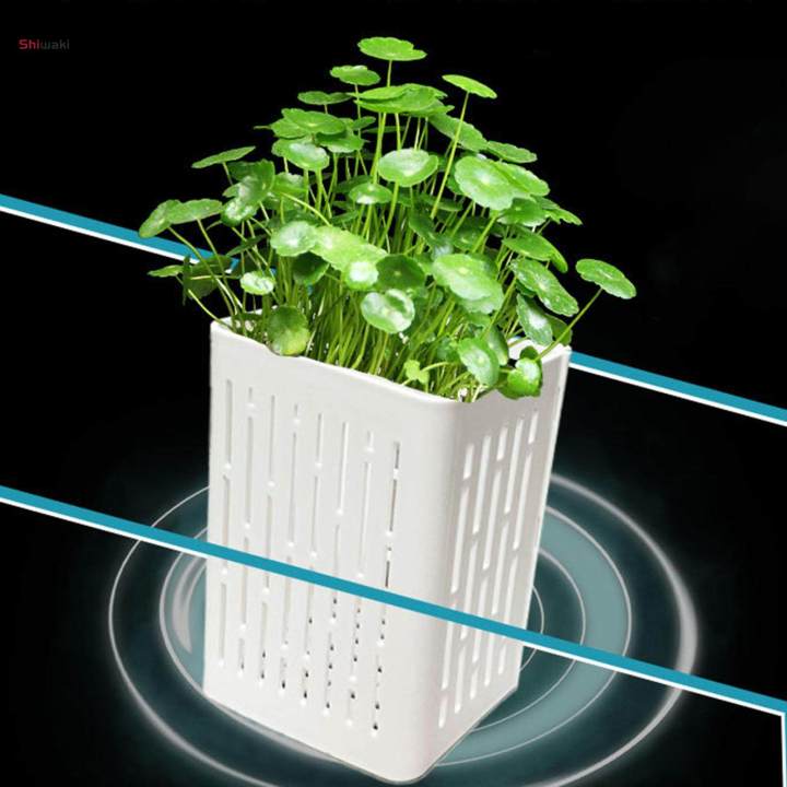 Aquarium Plant Holder, Box, Plant Basket, Hanging Planter Cup for Plant  Growing White | Daraz.pk
