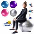 65cm Yoga Ball Exercise Ball , Anti-Burst & Non-Slip Fitness Ball Birthing Ball with Quick Pump- Home Gym Office Chair Ball. 