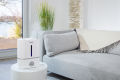 Beurer LB 45 – Air Humidifier. 