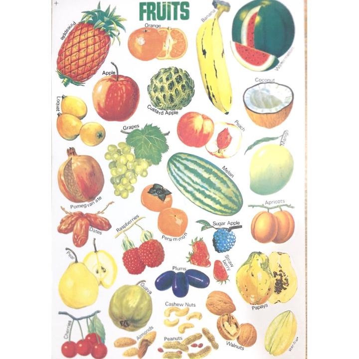 8 Pcs Set Animals, Fruits, Birds, Vegetables, Counting Early Learning Children Adhesive Stickers