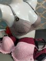 Click4she Super sexy bra new arrivals soft plain padded casual party wear Seamless comfortable breathable bra for Ladies girls women. 