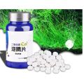 【Aesth Diary Store】Aquarium CO2 Tablet For Fish Tank CO2 Carbon Dioxide Diffuser 10/60 Pcs. 