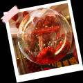 Bobo Balloon Wear Resistant DIY Crafting Round Bubble Balloon. 