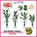 ⚡️SARANG HAE YO⚡️ SKYBIRD /SKY BIRD/ POKOK HIASAN / ARTIFICIAL PLANT / POKOK HIASAN/ POKOK VIRAL. 