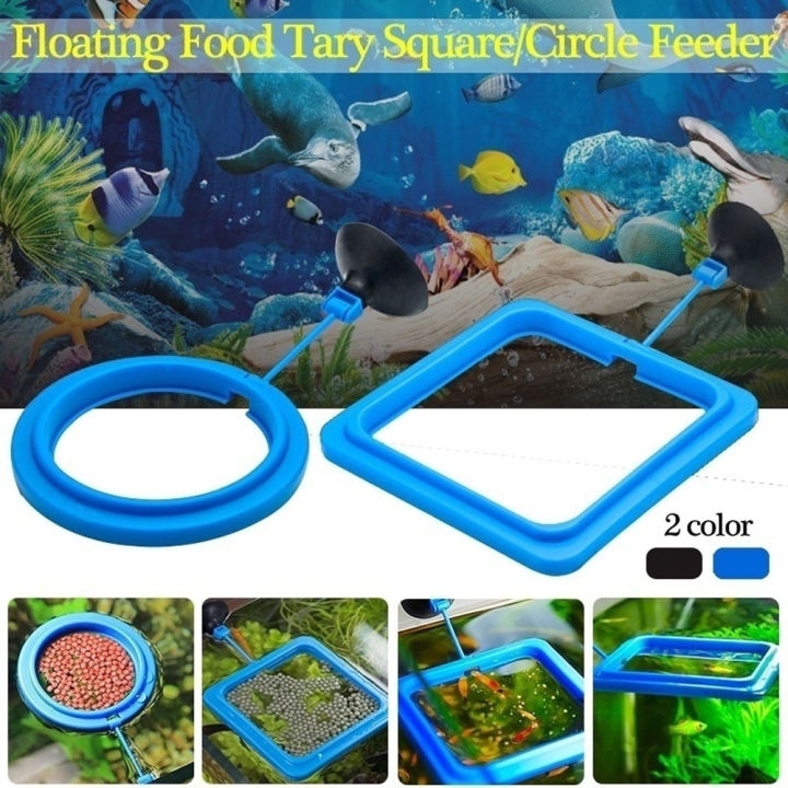 Aquarium Fish With Suction Cup Food Food Tray Feeder Floating Station ...