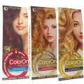 Hair Streaking Colour - Hair Colour For Streaking Pack Of 3 Coloron Moroccan Argan Oil Expert Crème Perfect Intensity Permanent Hair Dye Hair Streaks Coloring Combo Offer  Light Brown + Golden Blonde + Light Blonde. 