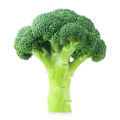 F-1 Hybrid Broccoli Seed for kitchen gardening. 