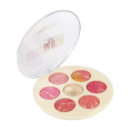 5 in 1 Cool Professional Makeup Blush Highlight Makeup Face. 