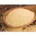 badgePoppy Seeds (Khaskhas) - 500 grams badgePoppy Seeds (Khaskhas) - 500 grams badgePoppy Seeds (Khaskhas) - 500 grams. 