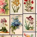 Vintage Flower Paintings Stickers for Journal Scrapbook Phone Cover. 