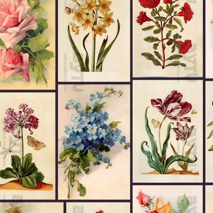 Vintage%20Flower%20Paintings%20Stickers%20for%20Journal%20Scrapbook%20Phone%20Cover%20-%20Image%203