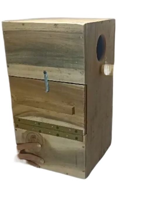 Indian%20Ringneck%20Parrots%20Breading%20Box%20Premium%20(Kikar%20Wood)%20-%20Image%204