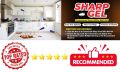 Cockroach Pest Control Solution - Cockroach killer Gel - Pakistan’s Best cockroach killer gel - Kills 100% Insects - Sharp Formula By Rootout. 
