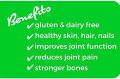 Protein Essentials Collagen Peptides Powder, Grass-Fed, Paleo & Keto Friendly, NonGMO & Gluten Free Unflavored 16 oz. 