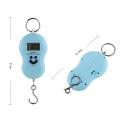 Electronic Portable Digital Hook Scale Hanging Scale Fishing Scale Luggage Scale Digital Pocket Scale Kitchen Scale Digital Weight Machine Digital Weight Scale Digital Weighing Scale Digital Weighing Machine Digital Mini Small Scale Weight Machine. 