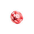 RISK Mountain Bike Shock Absorber Front Fork Shoulder Cover Aluminum Alloy Bicycle Air Fork Cap RA147. 
