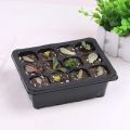 Lids 12 Cells Seed Starter Tray Plastic Seed Propagator Tray Set. 