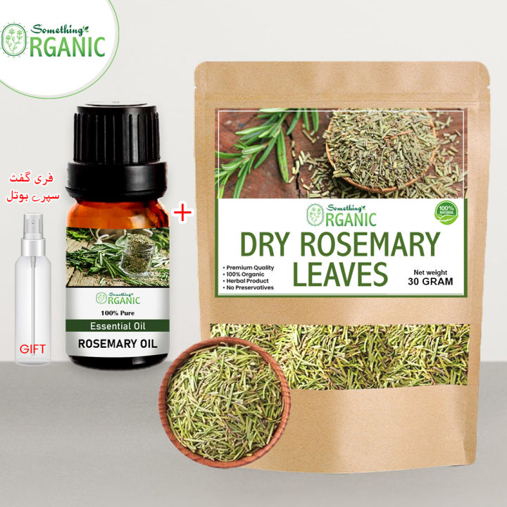 Rosemary Leaves / Leaf Organic 30 Gram + Free Spray Bottle Gift +  Rosemary Aromatherapy Essential Oil Rosemary Oil | Rose Marry Oil