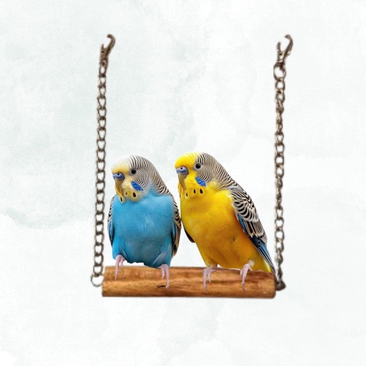 Wooden Parrot Swing - Birds Swing Cage Accessories - Wood Perch Sitting ... - High Quality Parrot Swing Cage