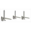 Stainless Steel SS CSK Screw 8# 1inch (Pack of 10pcs). 