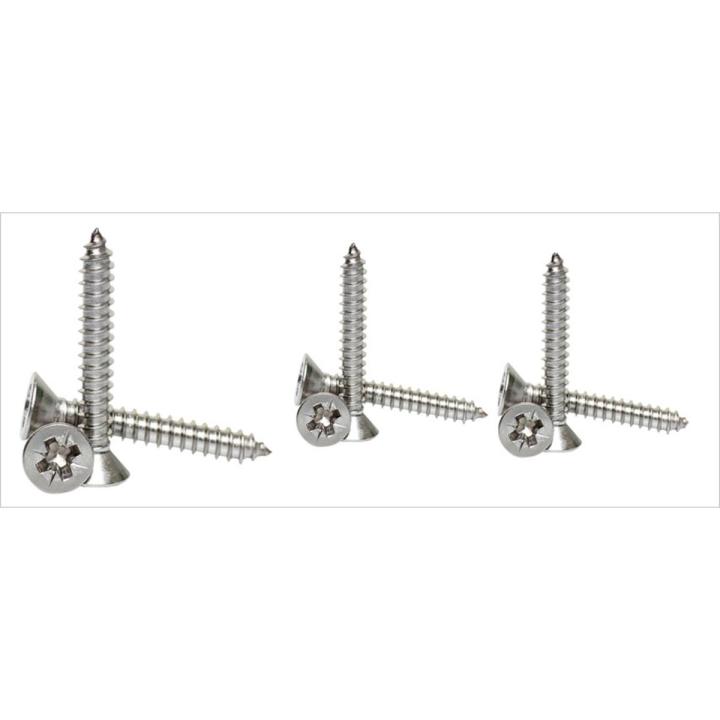 Stainless Steel SS CSK Screw 8# 1inch (Pack of 10pcs)