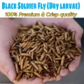 Bsf Dry Meal Worms. 