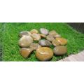 small Pebbles/ Stones for Garden and Aquarium  1 kg pack. 