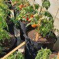 Grow Bags - Fabric Pots Planters. 