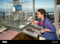 1 KG /Old Newspaper Scrap Wholesale Prices /  newspaper a bird cage /. 