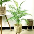 Tropical Artificial Palm Tree Large Branch Real Touch Palm Leaves without Pot - 28 inch Height. 