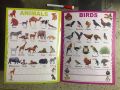 Write and Wipe ABC 123:  Early Learners (Write and Wipe) BOOK.. 