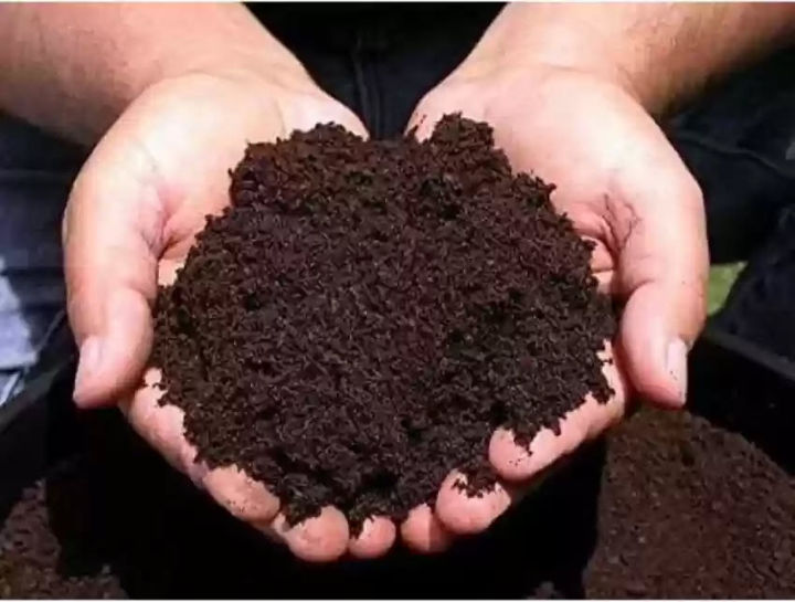Compost 1 KG Pack for Plants and Gardens – 100% Organic Fertilizer ...