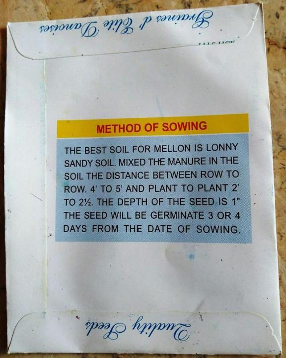 Mellon%20Honey%20Dew%20-%20Image%203