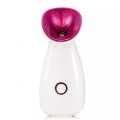 2022 electric facial steamer portable facial steamer nano ionic facial steamer machine gemei zlq-1027. 