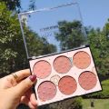 Miss Rose New 2 PCS Set 6 Color Blush Glow Palette & 2 IN 1 Concealer (Liquid & Stick). 