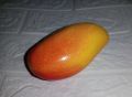 1 Piece - Styrofoam Mango Fruit -  Simulated Mango - Decorative Artificial Mango - Thermacol Mangoes (Artificial Fruits for Decoration). 