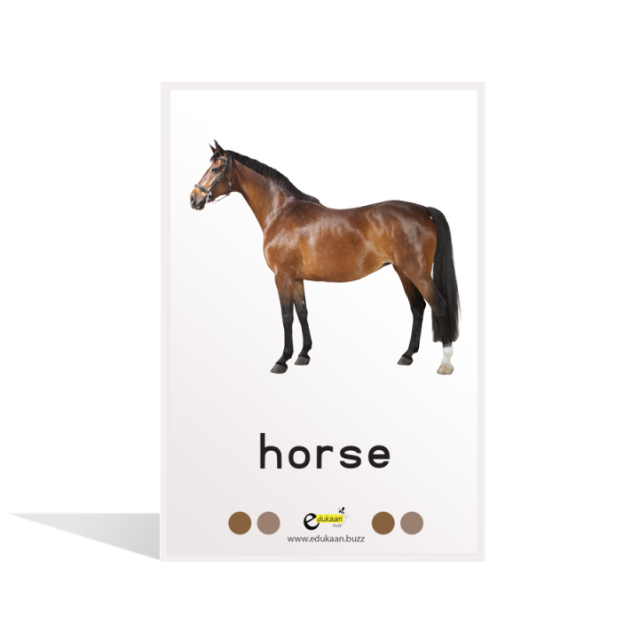 Farm%20&%20Pets%20Flash%20Cards%20-%208004%20-%20Image%205