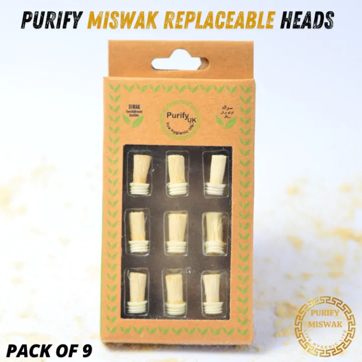 Purify%20Miswak%20Kit%20-%20%20Miswak%20Brush,%20%20Miswak%20Powder,%20&%209%20Replaceable%20Heads%20-%20100%25%20Natural%20Peelu%20Miswak%20Toothbrush%20%7C%20Natural%20Toothbrush%20%7C%20Miswak%20Toothbrush%20%7C%20Best%20for%20Kids,%20Men,%20and%20Women%20%7C%20Perfect%20for%20Gifting%20-%20Image%209