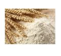 urban platter Vital Wheat Gluten, 500g Raising Ingredient Powder. 