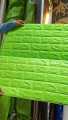 3d wallpaper fomic pack of 5 / 3D Brick Wall Sticker Self-Adhesive Foam Wallpaper Panels / 3d wallpaper / self adhesive wall paper / wall panel for room. 