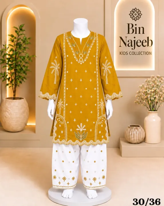Bin%20Najeeb%20Kids%20Embroidered%202%20Piece%20Suit%20Embroidered%20Kurti%20&%20Trouser%20-%20Image%204