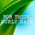 Maui Moisture Curl Quench + Coconut Oil Curl-Defining Anti-Frizz Shampoo to Hydrate and Detangle Tight Curly Hair, Softening Shampoo, Vegan, Silicone & Paraben-Free 385ml. 