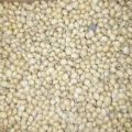 Soya Bean Seeds 1 kg. 