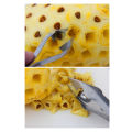 【FUN LIVE】 Pineapple Clip Stainless Steel Pineapple Eye Seed Remover Pineapple Peeler Kitchen Gadgets Fruit Vegetable Tools Accessories1pc. 