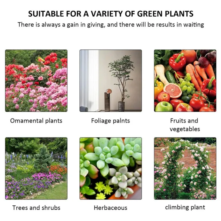 Plant%20Protein+%20-%20Image%206